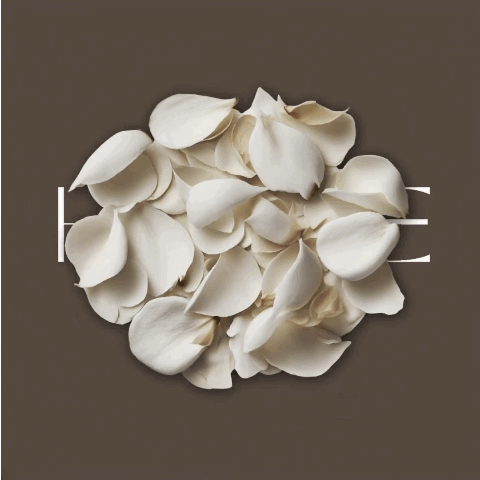 House of Pali animated logo with rose petals